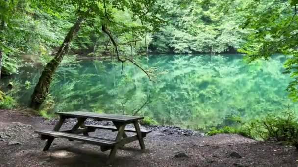 イエディゴラー国立公園の美しい緑の森に囲まれた湖の上に木製のベンチの閉鎖トルコ人はいません — ストック動画