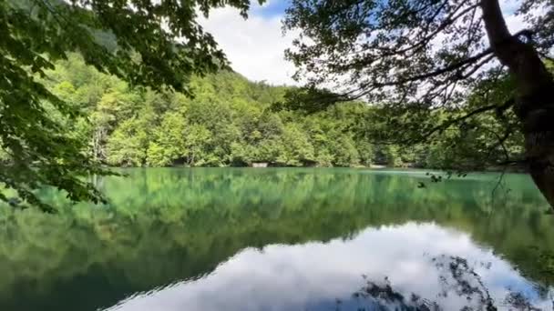 Vista Panorámica Del Lago Rodeado Bosque Parque Nacional Yedigoller Turquía — Vídeos de Stock
