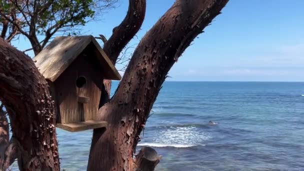 Front View Closeup Nest Box Bird Wooden House Tree Sea — Stock Video