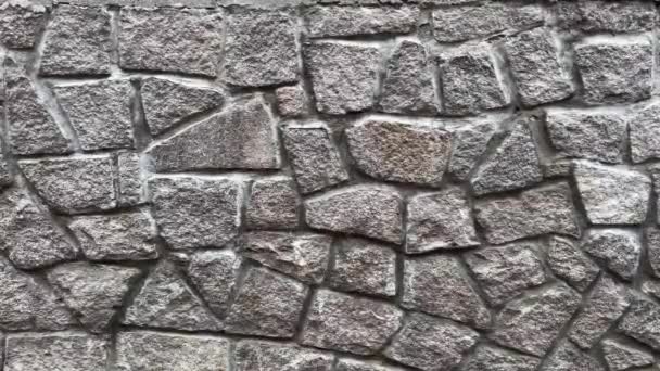 Closeup Front View Dark Grey Stone Wall Texture — Stock Video