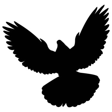 Uçan güvercin silueti. Beyaz arkaplanda vektör..
