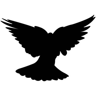 Uçan güvercin silueti. Beyaz arkaplanda vektör..