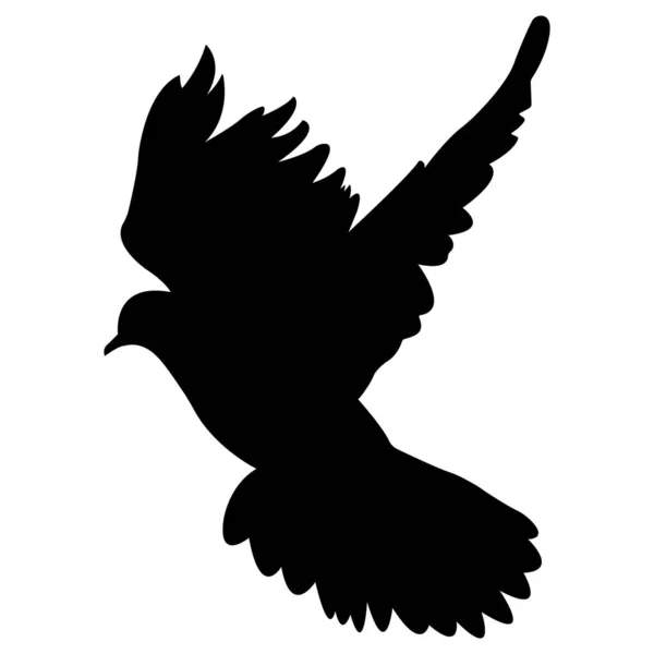 Silhouette Einer Fliegenden Taube Vektor Auf Weißem Hintergrund — Stockvektor
