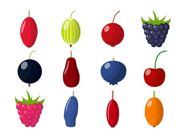 一套白色背景的新鲜浆果 扁平风格的变型矢量浆果 — 图库矢量图片