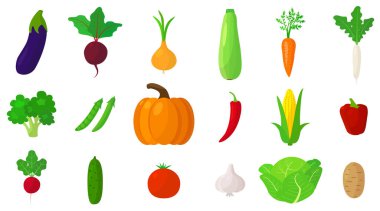 Set of fresh and tasty vegetables on white background. Vector eggplant, beets, onions, zucchini, carrots, white radishes and other vegetables in cartoon style.
