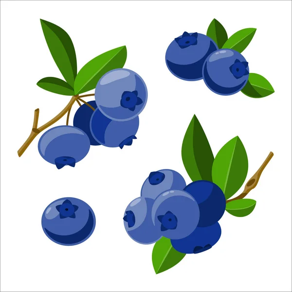 新鲜的蓝莓枝 卡通风格 在白色背景上分离的病媒甜浆果 — 图库矢量图片