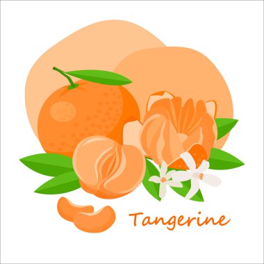 Yeşil yapraklı taze mandalina ve çizgi film tarzında beyaz çiçek. Beyaz bir arkaplanda bütün ve tatlı mandalina parçaları izole.