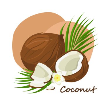 Yeşil yapraklı taze hindistan cevizi ve çizgi film tarzında beyaz çiçek. Vektör bütünü ve tatlı hindistan cevizi beyaz bir arkaplanda izole.