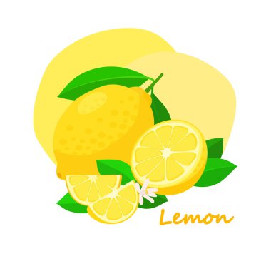 Yeşil yapraklı taze limon ve çizgi film tarzında beyaz çiçek. Beyaz arka planda bütün ve tatlı limon parçaları izole.