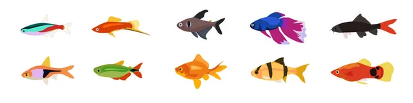 Набор Разноцветных Прекрасных Маленьких Рыбок Различной Формы Белом Фоне Векторные — стоковый вектор