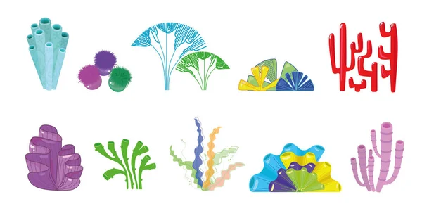 Set Varicoloured Lovely Corals Algae Different Form White Background Vector — Image vectorielle