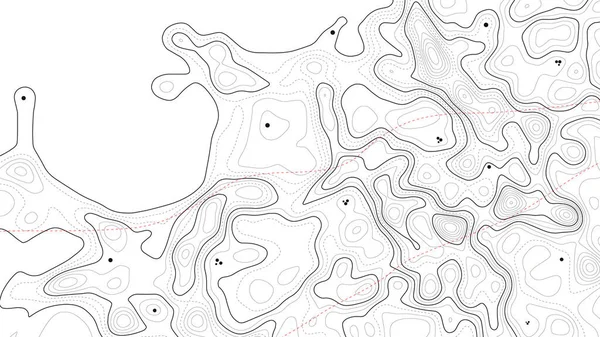 Contour Fond Carte Schéma Géographie Vectorielle Terrain Carte Grille Topographie — Image vectorielle