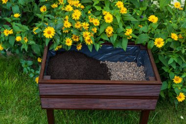 A wooden pot for growing vegetables or flowers. A layer of soil on the bottom a layer of expanded clay. Interior walls protected with foil. Home vegetable garden with beautiful yellow flowers.
