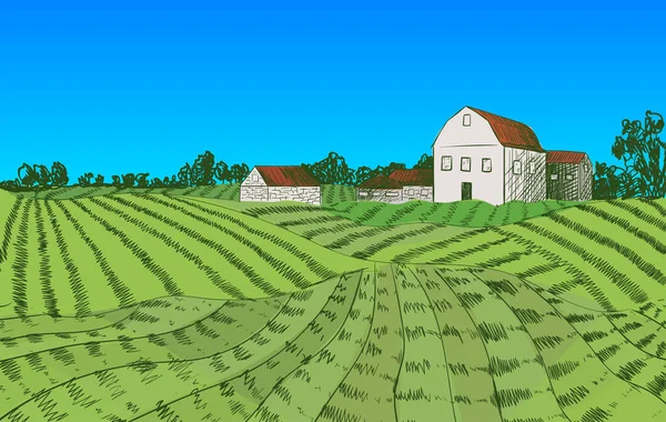 Vector ilustración colorida granja, campo de granja dibujado a mano y casa, paisaje, plantilla de fondo, campo de agricultores. — Vector de stock