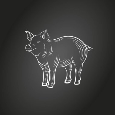 Siyah arka planda izole edilmiş vektör tebeşiri, oyma stili, çiftlik hayvanının çizimi, ayakta duran domuz..