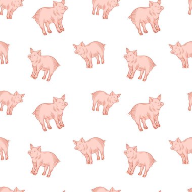 Şirin domuzlar, beyaz arka planda domuzcuklar....