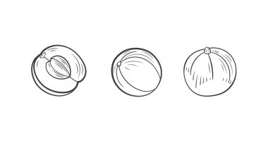 Vektör bektaşi üzümü ana hatları seti, Mem illüstrasyonu, beyaz arkaplanda izole edilmiş böğürtlenler, çizilmiş simgeler.