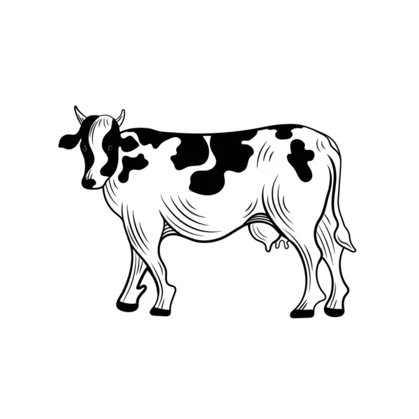 Vector Vaca Ilustración Blanco Negro Esquema Animal Dibujo Granja Vaca — Archivo Imágenes Vectoriales