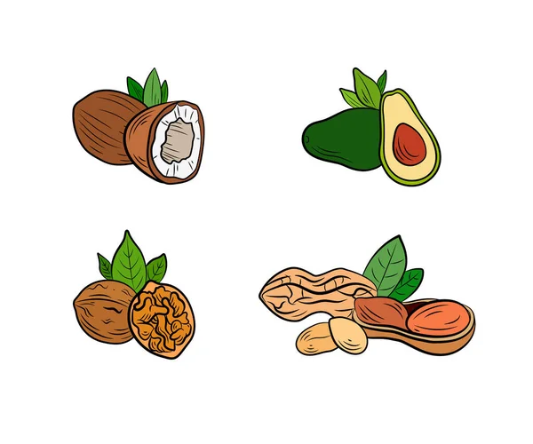 Beyaz arka planda izole edilmiş sağlıklı beslenme ürünleri, hindistan cevizi, avokado, ceviz ve fıstık seti, renkli çizimler..