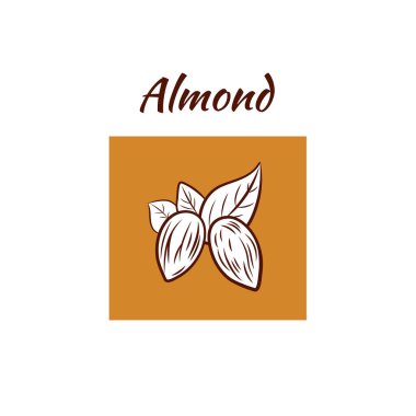 Yapraklar, Tasarım Elementi, Grafik Sanatı, Ana Badem Tasarımı.