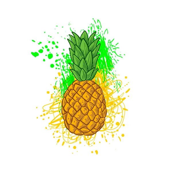 Vector Pineapple Colorful Splashes Background Isolated White Colorful Illustration Template — Stock Vector