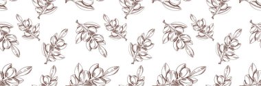 Vector Seamless Black and White Pattern: Argan Branch, Hand Drawn Outline Illustration.