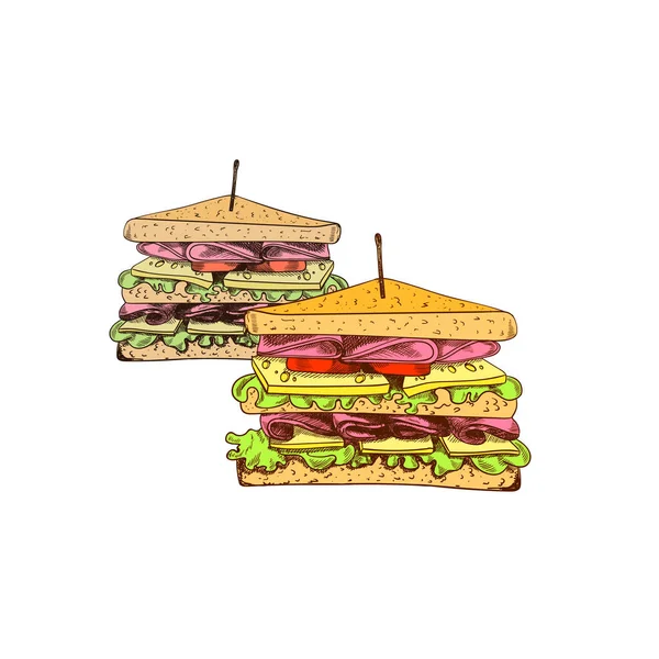 Sándwich Dibujado Mano Vectorial Ilustración Colorida Dos Sándwiches Aislados Sobre — Vector de stock