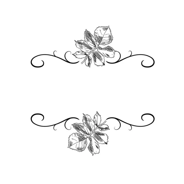 Vector Black and White Floral Frame Blank Template, Isolated Design Element, Hand Drawn - Stok Vektor