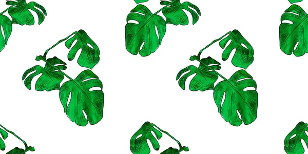 Akvarell vektor sömlös mönster, monstera palmblad på vit bakgrund, färgglada gröna handen dras illustration — Stock vektor
