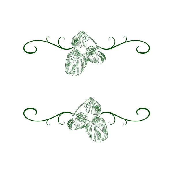 Marco de hojas dibujadas a mano vectorial, planta dibujada a mano tropical, elemento decorativo aislado, ilustración de Monstera. — Vector de stock