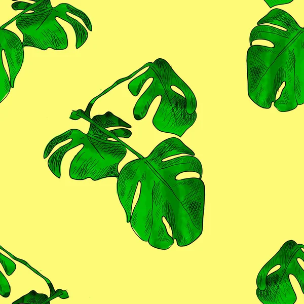 Patrón sin costura vectorial, hojas de palma de monstera verde colorido sobre un fondo amarillo pastel, planta exótica Gráficos Vectoriales