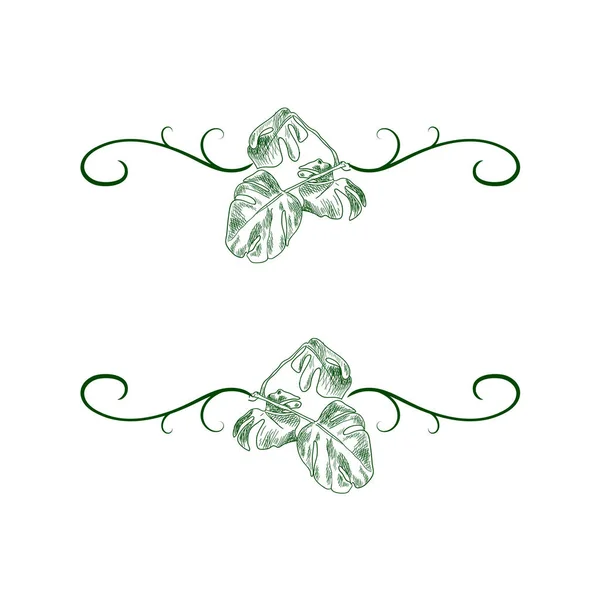 Cadre de feuilles dessinées à la main vectoriel, Plante dessinée à la main tropicale, Élément décoratif isolé, Illustration Monstera. Graphismes Vectoriels