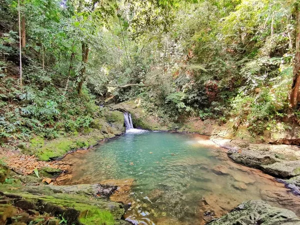 Cachoeira Selva Tailândia — Fotografia de Stock