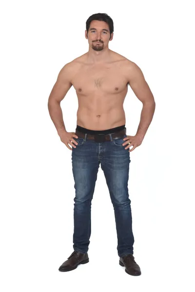 Man Shirtless Blue Jeans Hands Hip Looking Camera White Background — Stock Photo, Image