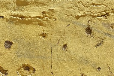 Sarı havan duvarını kapatın. 