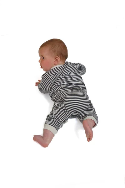 Pohled Shora Zadní Pohled Dítě Plazící Podlaze Bílém Pozadí — Stock fotografie