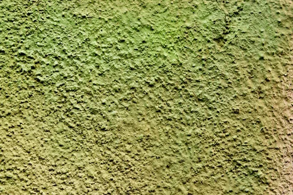 Бетонна Стіна Пофарбована Зеленою Фарбою Розпилення — стокове фото