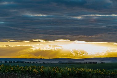 beautiful sunset with clouds, summer field, nature background