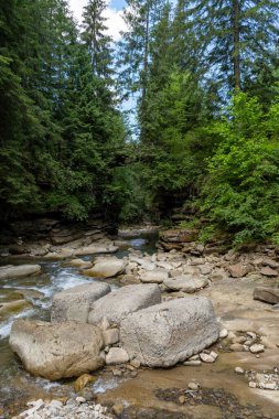 rocky mountain river in the carpathian mountains