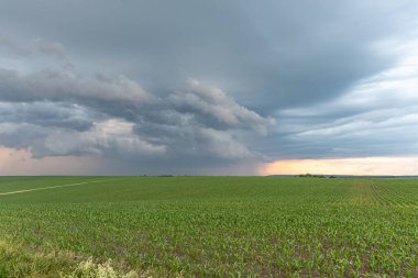 Bulutlar ile yeşil alan