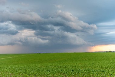 Kırsal alanın güzel bir manzarası.