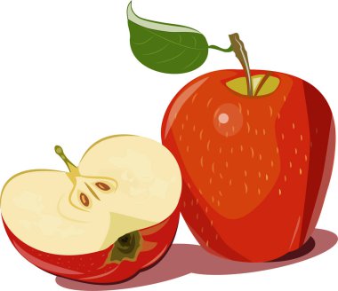 red apple and half of apple in vector, illustration for holidays and web designs