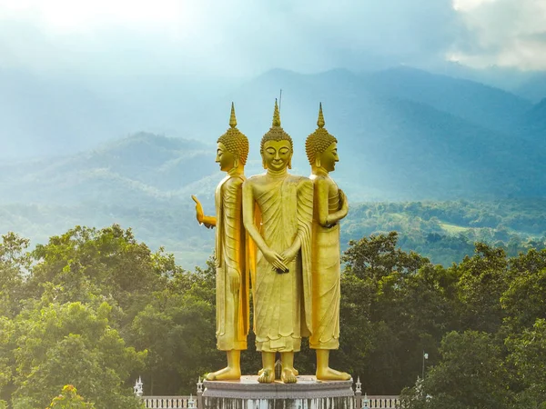 Große Stehende Goldene Buddha Statue Auf Hellblauem Himmelswolkenhintergrund Tempel Wat — Stockfoto