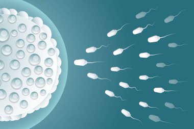 illustration background design sperm fertilize the egg clipart