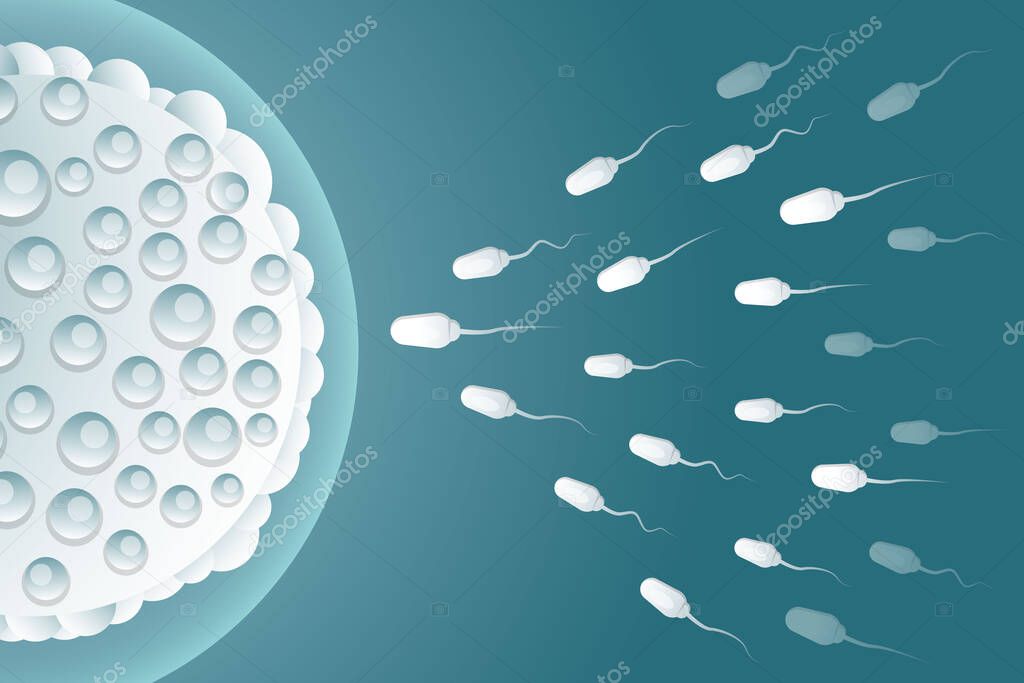 illustration background design sperm fertilize the egg