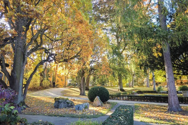 Folhas Outono Árvores Parque — Fotografia de Stock