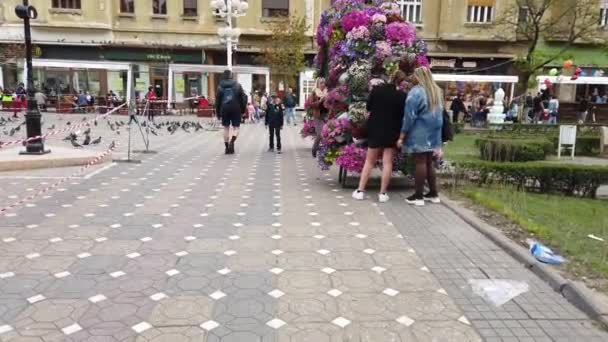 Timisoara Roménia Abril 2019 Praça Vitória Belas Decorações Flores Festival — Vídeo de Stock