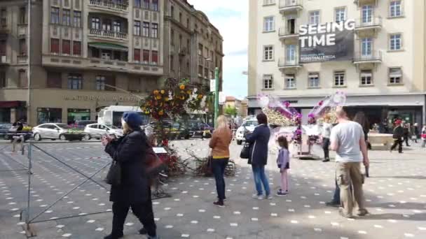 Тимисоара Румыния Апреля 2019 Года Площадь Победы Красивые Цветочные Украшения — стоковое видео