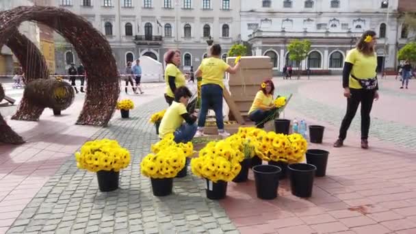 Timisoara Romania 2019年4月19日 勝利の広場 ティムフラリス国際フラワーフェスティバルで美しい花の装飾 — ストック動画