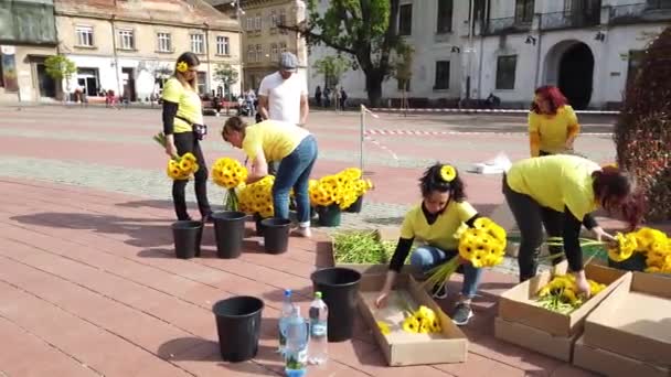 Timisoara Romania April 2019 Lapangan Kemenangan Dekorasi Bunga Yang Indah — Stok Video